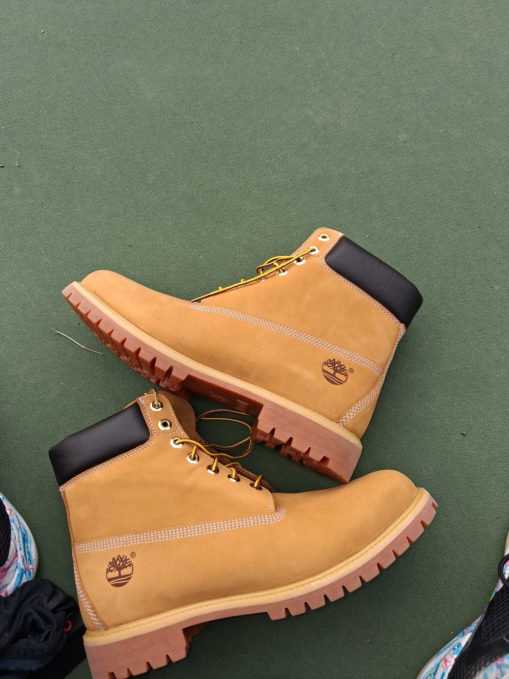 Timberland Classic Wheat 6" Boots - Honey Wheat